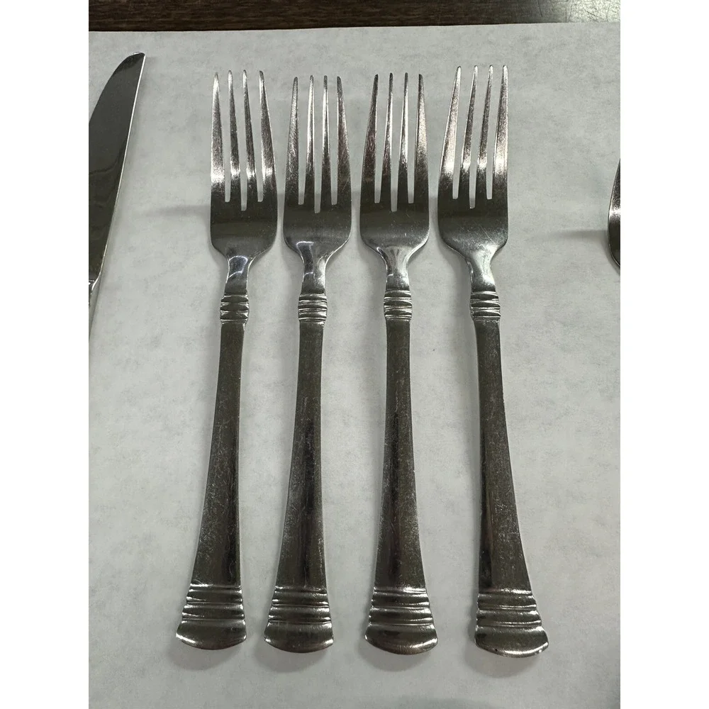 Cambridge Stainless China Codie 41 Pc Flatware‎ Set
